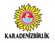 KARADENİZBİRLİK AYÇİÇEK YAGI